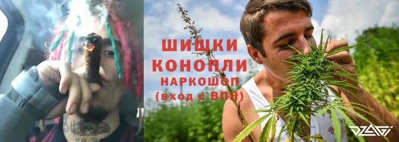 Конопля SATIVA & INDICA  Верещагино 